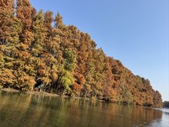 -上海海湾国家森林公园