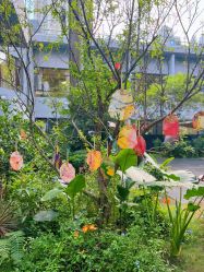 -宝生月子中心(独栋园林·福田店)