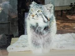 -青藏高原野生动物园