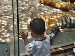 -南昌动物园