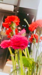 -绘甲社NACHO&DAI SALON