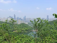 -桃花岭景区