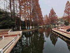 -环城公园-琥珀潭