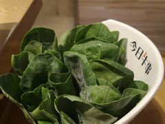 -今日牛事潮汕鲜牛肉火锅(瑞金店)