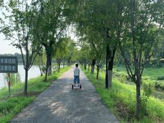 -羊山湖公园