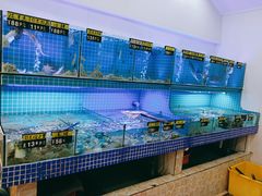 水产区-江南村海鲜馆(洞头店)