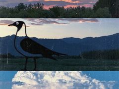 -野鸭湖国家湿地公园