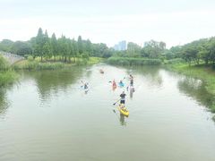 -贡湖湾湿地公园