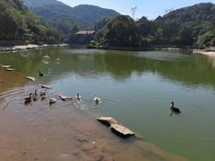 -广州市帽峰山景区