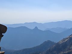 -鲁山国家森林公园