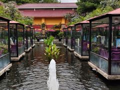 -鹅公村·国家非遗传承(荔湾店)