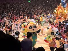 -广州长隆国际大马戏