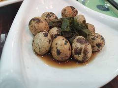 -伯乐居茶艺馆(石岐大信店)