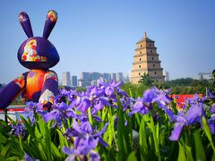 -西安市广仁寺