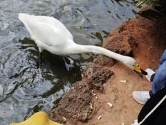 -海南热带野生动植物园