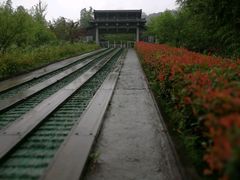 -千岛湖石林