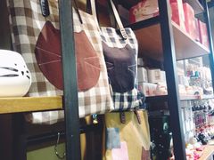 -猫咪博物馆(顶澳仔猫街店)