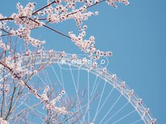 -天津之眼摩天轮