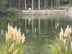 -尚贤河湿地
