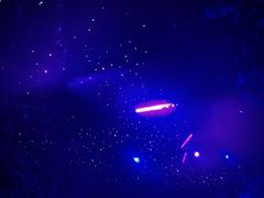 -祥源·阜阳生态乐园