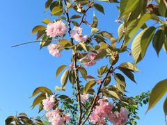 -帐篷客·溪龙茶谷度假酒店