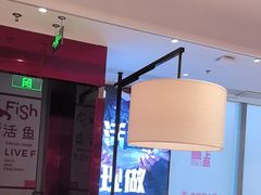 -老板恋上鱼(恒隆广场店)