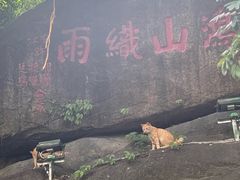 -鸿山公园