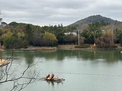 -上海佘山世茂艾美酒店