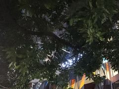 -红棉中餐厅·广州海航威斯汀酒店