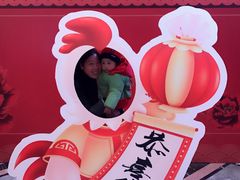 -碧桂园凤凰城酒店(南京店)