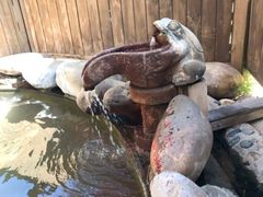 -大江户·温泉洗浴(浑南店)