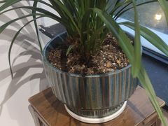 -荷风细雨·中国茶宴(碧云店)