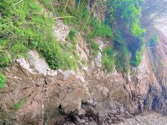 -平湖九龙山旅游度假区