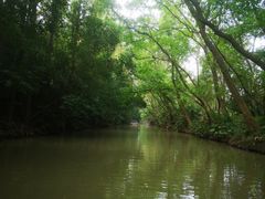 -上海滨江森林公园
