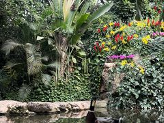 -郑州植物园