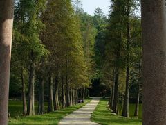 -西樵山风景名胜区-天湖公园