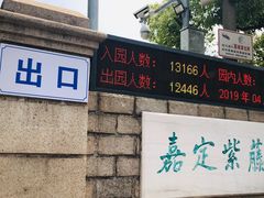 -嘉定紫藤园