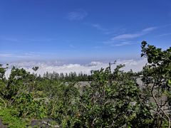 -富士山吉田線五合目