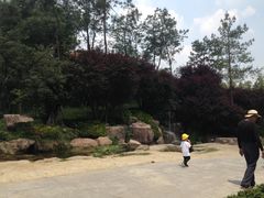 -秀丽东方