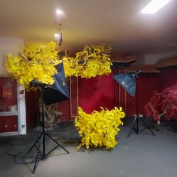 -凤绫儿亲子儿童摄影馆(天津店)