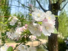 -元大都城垣遗址公园