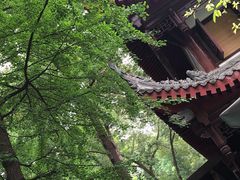 -香园自助小火锅
