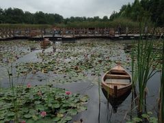 iphone_upload_pic-溱湖国家湿地公园