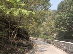 -北京上方山国家森林公园