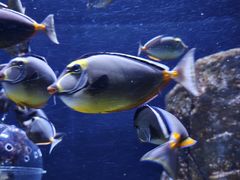 -成都浩海立方海洋公园