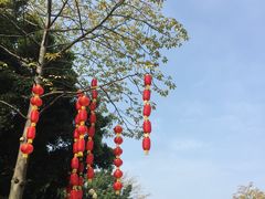 -伦教678文化街
