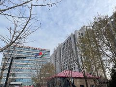 -首都医科大学附属北京潞河医院