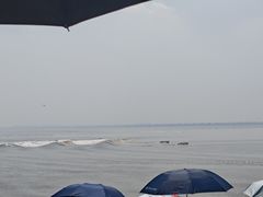 -观潮胜地公园