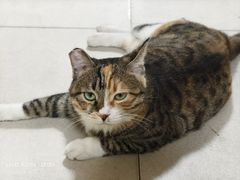 -魏客Channel We Coffee