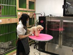 -米卢宠物公园(广华居店)
